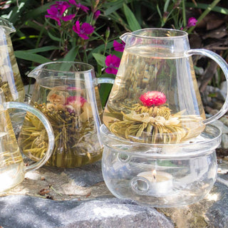 Glass Warmer