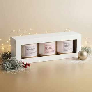 Holiday Brews Gift Box