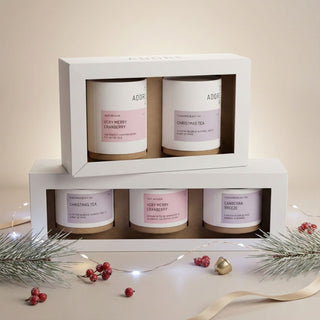 Holiday Brews Gift Box