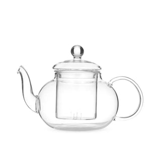 Leaf & Bean Chrysanthemum Teapot with Filter 600ml