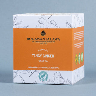 Tangy Ginger Tea Bags - Pack of 20
